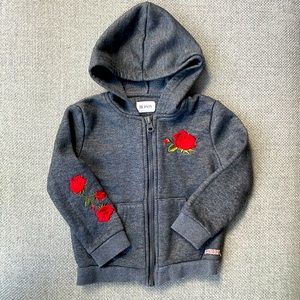 Hudson toddler hoodie